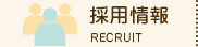 採用情報